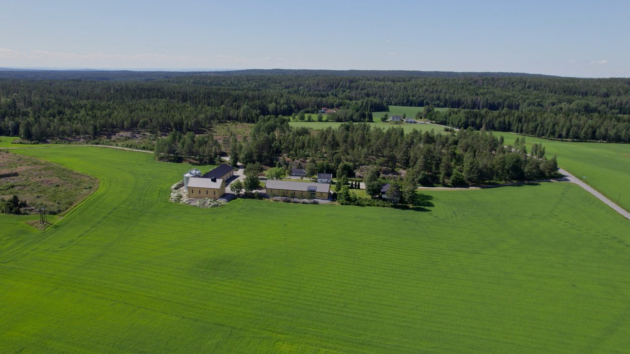 Performance Lab — Den Sorte Havre